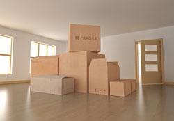 professional movers